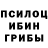 Псилоцибиновые грибы мухоморы Mark Herincx