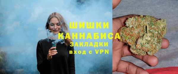 дживик Аркадак