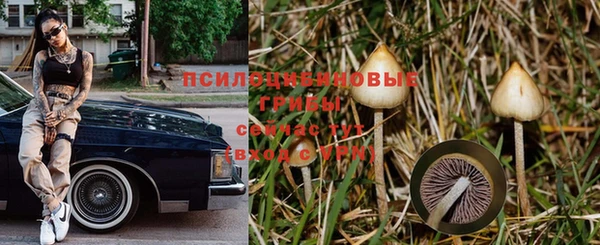 шишки Армянск
