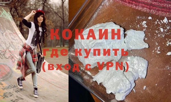 шишки Армянск