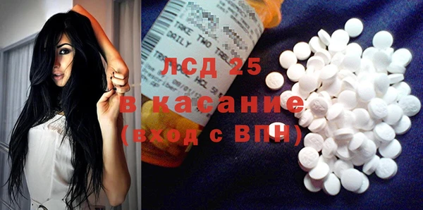шишки Армянск