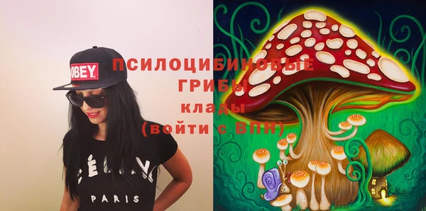 дживик Аркадак