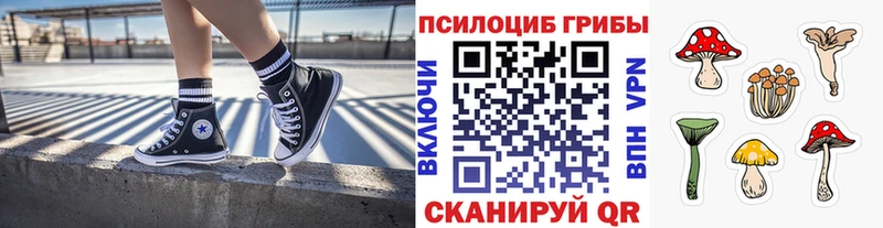Псилоцибиновые грибы GOLDEN TEACHER  цены   Певек 