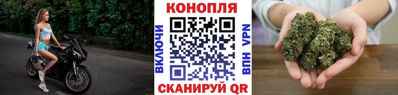 Каннабис конопля  KRAKEN зеркало  Певек 